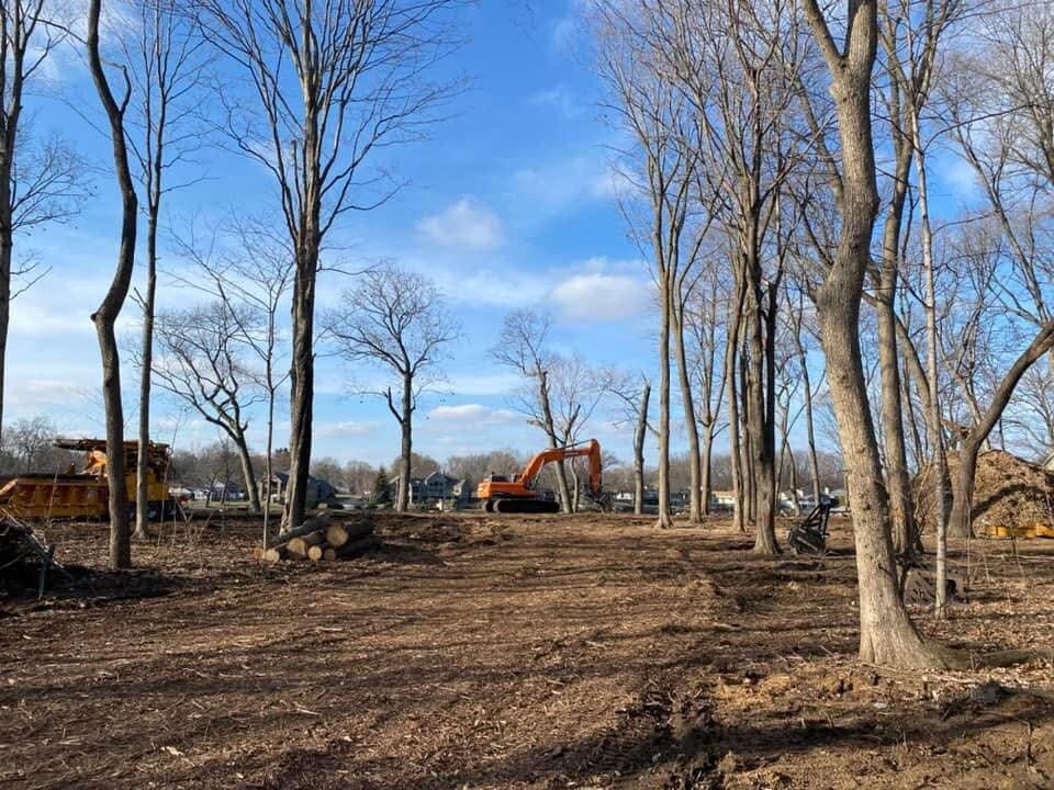 Excavator clearing wooded land near a residential subdivision