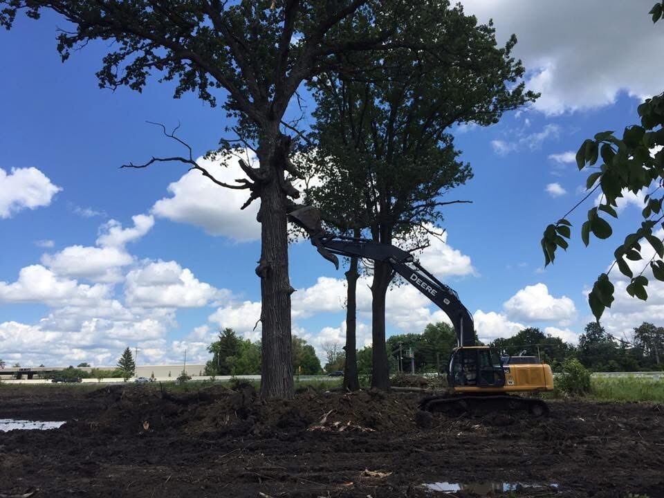 Roadside tree removal with a Deere excavator